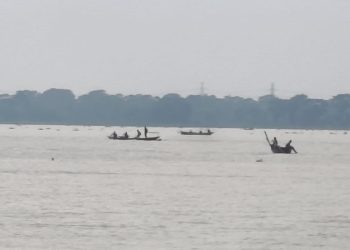 দুমকিতে সরকারি নিষেধাজ্ঞা অমান্য করে চলছে মা ইলিশ শিকারের মহোৎসব