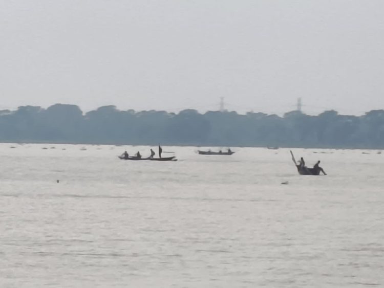 দুমকিতে সরকারি নিষেধাজ্ঞা অমান্য করে চলছে মা ইলিশ শিকারের মহোৎসব