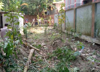 বাকেরগঞ্জে গাছকেটে জমি দখলের চেষ্টা, থানায় অভিযোগ