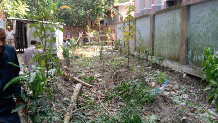 বাকেরগঞ্জে গাছকেটে জমি দখলের চেষ্টা, থানায় অভিযোগ