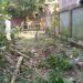 বাকেরগঞ্জে গাছকেটে জমি দখলের চেষ্টা, থানায় অভিযোগ