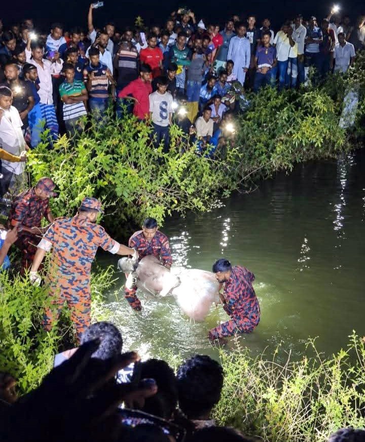 মাছের ঘেরে সেচ দেয়ার সময় বিদ্যুৎস্পৃস্ট হয়ে কলাপাড়ায় এক ব্যক্তির মৃত্যু