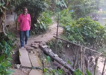 কাউখালীতে ঝুঁকিপূর্ণ হরিণধারা-গোপালপুর সড়ক: খালের পেটে বিলীন হওয়ার পথে  গ্রামের যাতায়াতের মাধ্যম