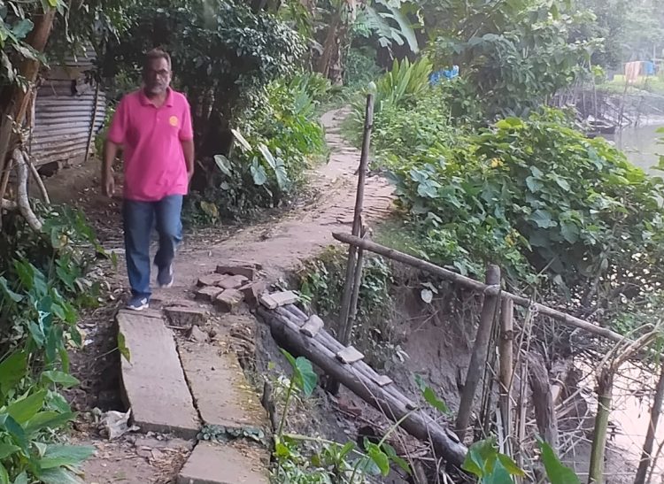 কাউখালীতে ঝুঁকিপূর্ণ হরিণধারা-গোপালপুর সড়ক: খালের পেটে বিলীন হওয়ার পথে গ্রামের যাতায়াতের মাধ্যম