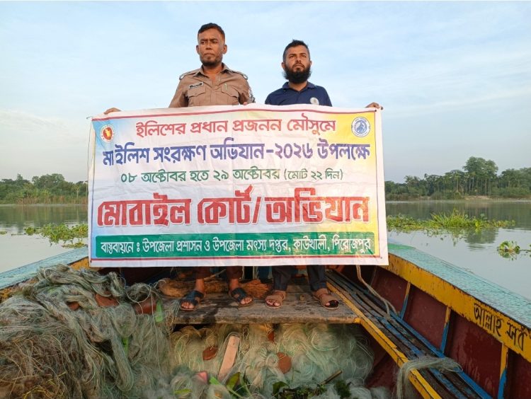 কাউখালীতে মা ইলিশ সংরক্ষণ অভিযান: কঁচা নদী থেকে ৬ হাজার ২০০ মিটার কারেন্ট জাল জব্দ