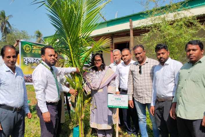 কাউখালীতে পরিবেশের ভারসাম্য রক্ষায় ৫ শতাধিক চারা বিতরণ ও রোপণ