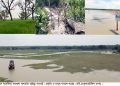কলাপাড়ায় দখলদারদের থাবা, ধ্বংসের মুখে গঙ্গামতির ম্যানগ্রোভ বন