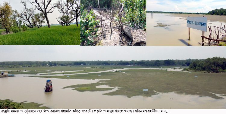কলাপাড়ায় দখলদারদের থাবা, ধ্বংসের মুখে গঙ্গামতির ম্যানগ্রোভ বন