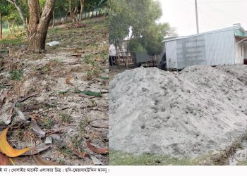 কলাপাড়ায় বেড়িবাঁধের গাছ কেটে স্থাপনা নির্মাণ, নির্বিকার পানি উন্নয়ন বোর্ড
