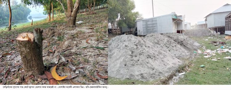 কলাপাড়ায় বেড়িবাঁধের গাছ কেটে স্থাপনা নির্মাণ, নির্বিকার পানি উন্নয়ন বোর্ড
